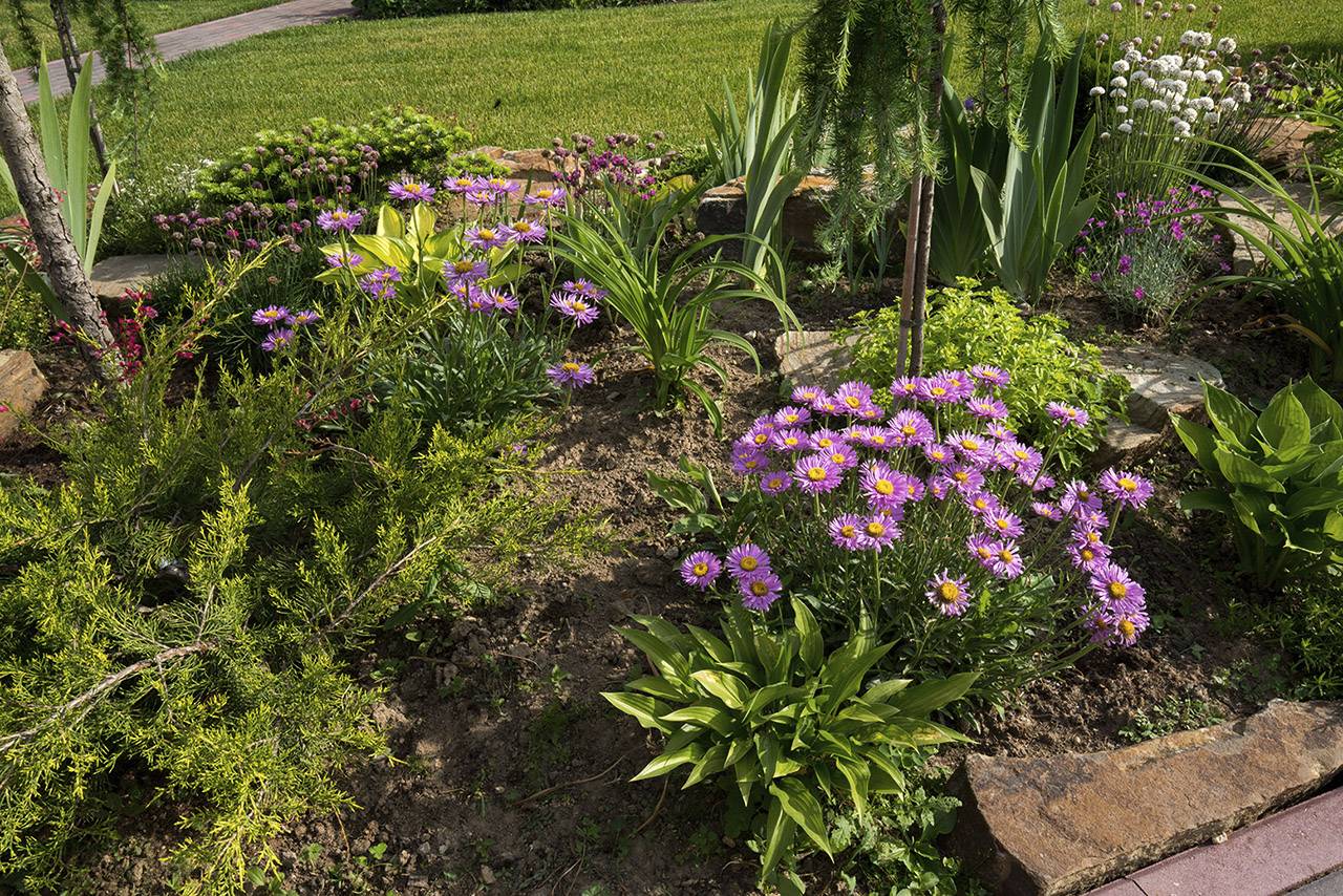 Проект Крекшино